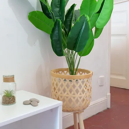 Le Cocon, Hypercentre - Netflix - Clim Appartement Antibes