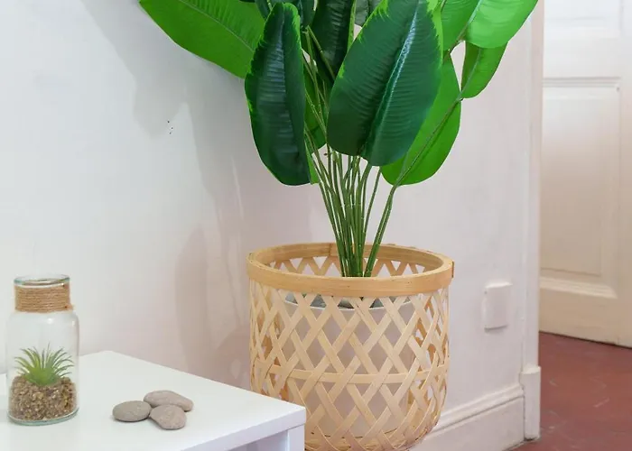 Le Cocon - Hypercentre Antibes, Netflix, Clim Apartment Antibes